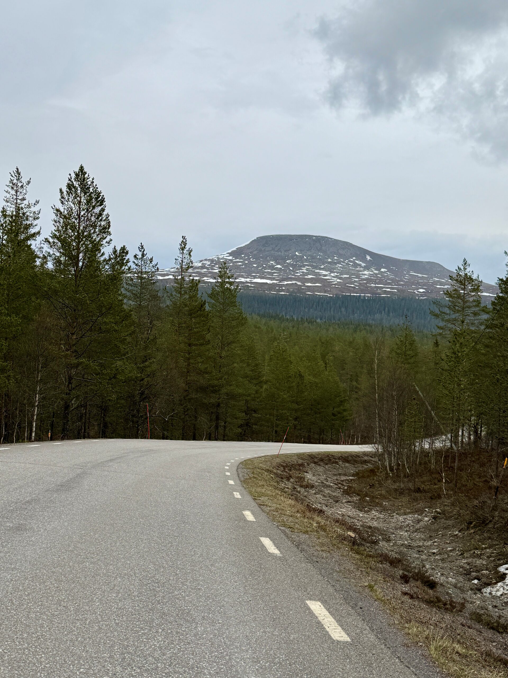 Städjan i Älvdalens kommun – fjällterräng i området för drönarkartering